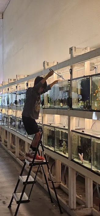 Concord Aquarium Picture 5
