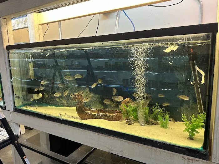 Concord Aquarium Picture 9
