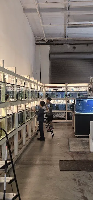 Concord Aquarium Picture 2