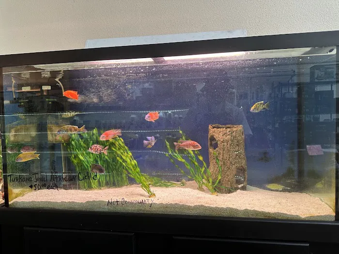 Concord Aquarium Picture 6