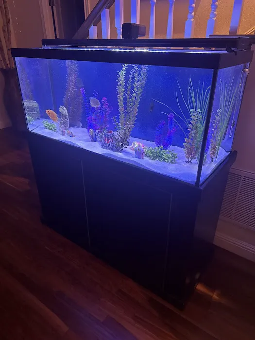 Concord Aquarium Picture 4