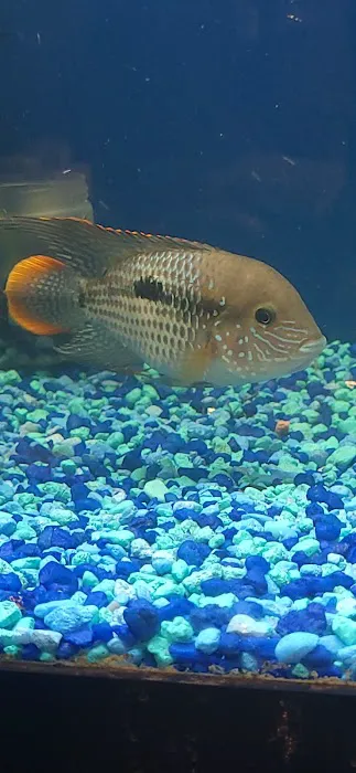 Concord Aquarium Picture 1