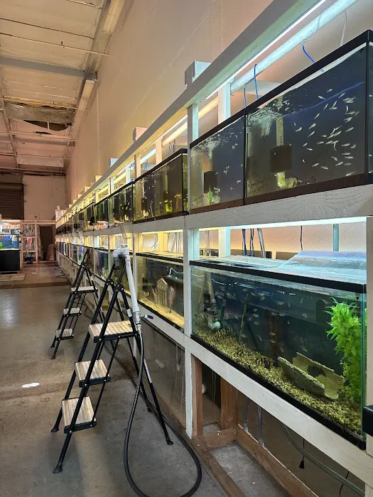 Concord Aquarium Picture 7