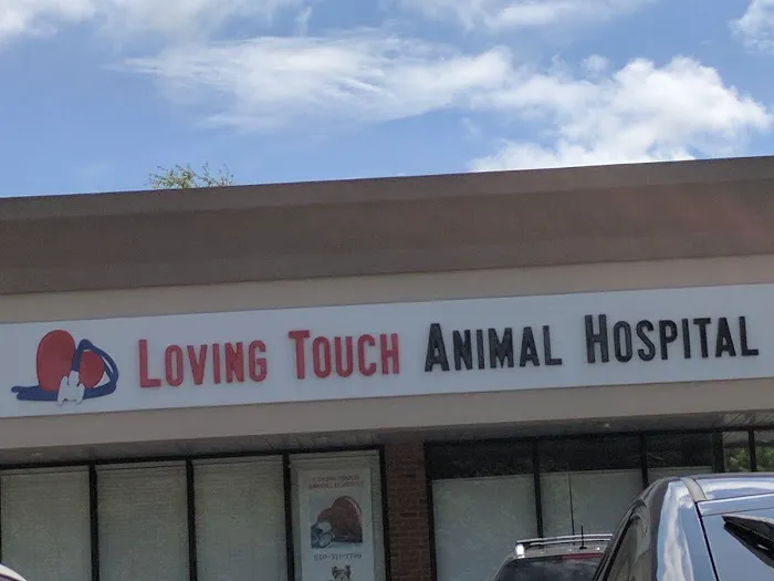 Loving Touch Animal Hospital Picture 10