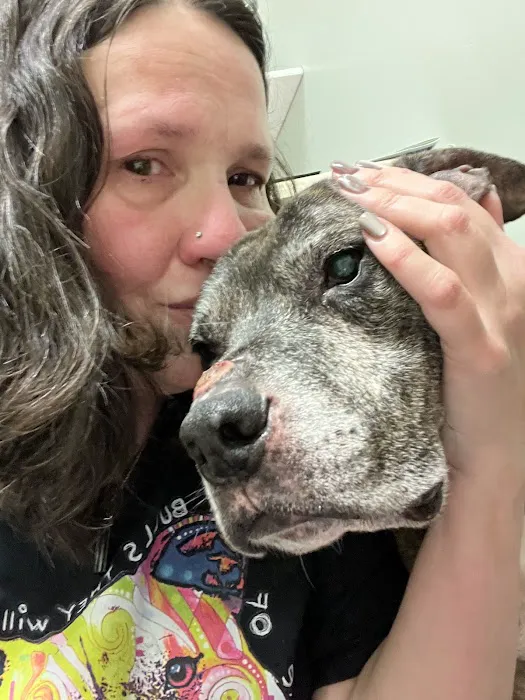 Loving Touch Animal Hospital Picture 8