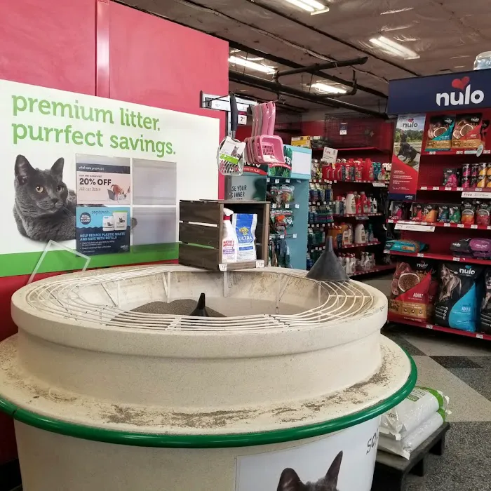 Petco Picture 3