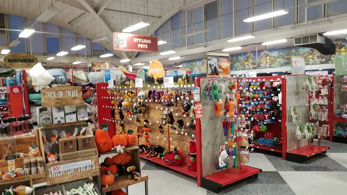 Petco Picture 1