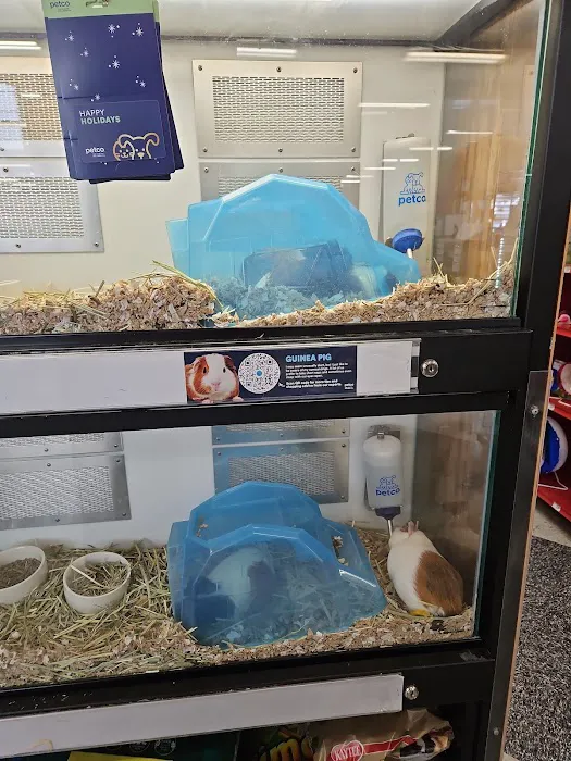 Petco Picture 2