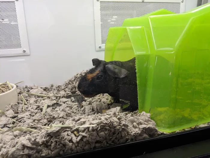 Petco Picture 9