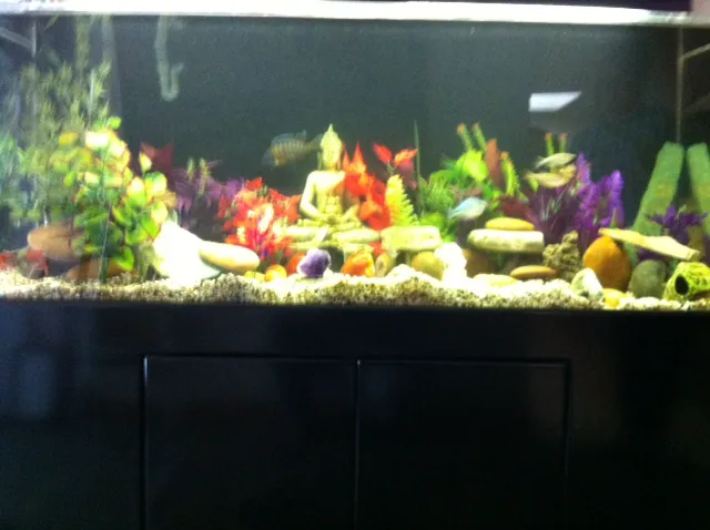 Red Hill Pet Center Picture 2