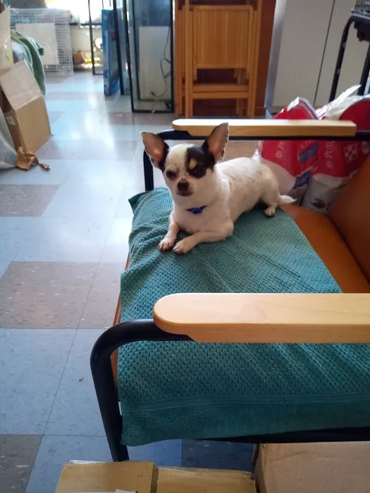 Red Hill Pet Center Picture 8