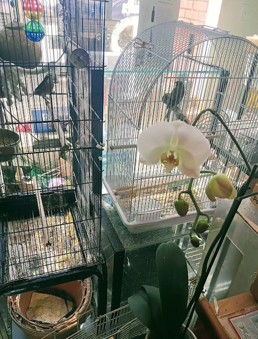 Red Hill Pet Center Picture 1