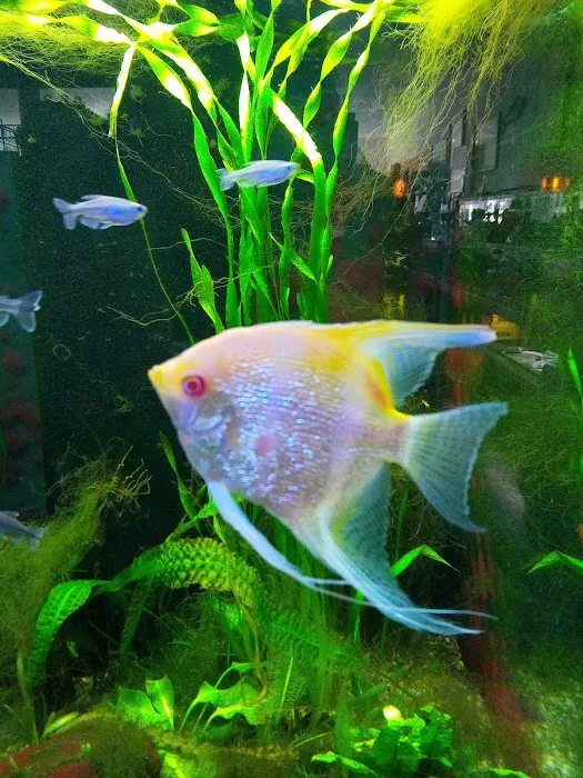 Red Hill Pet Center Picture 5