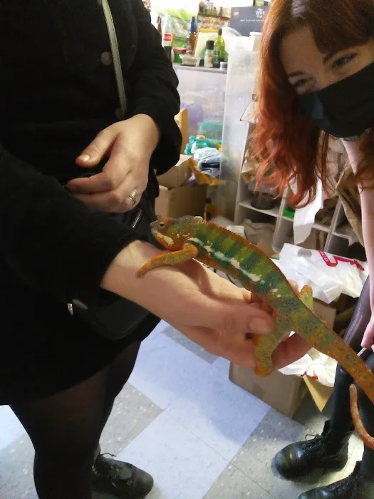 Red Hill Pet Center Picture 6
