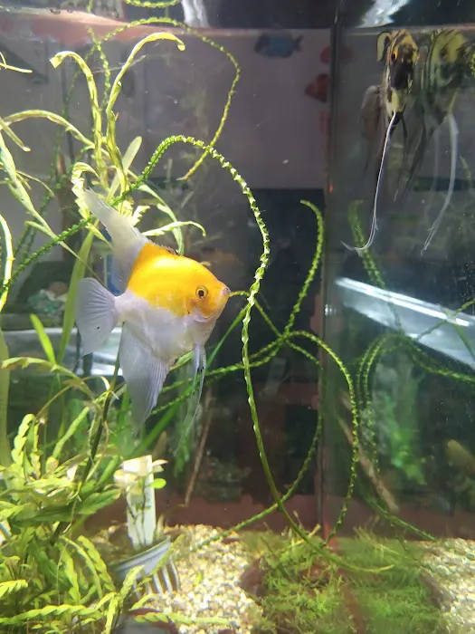 Red Hill Pet Center Picture 3