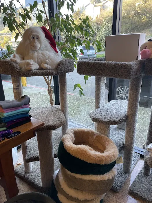 Pet Cottage Picture 7