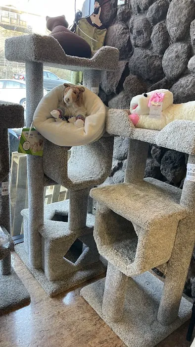 Pet Cottage Picture 8