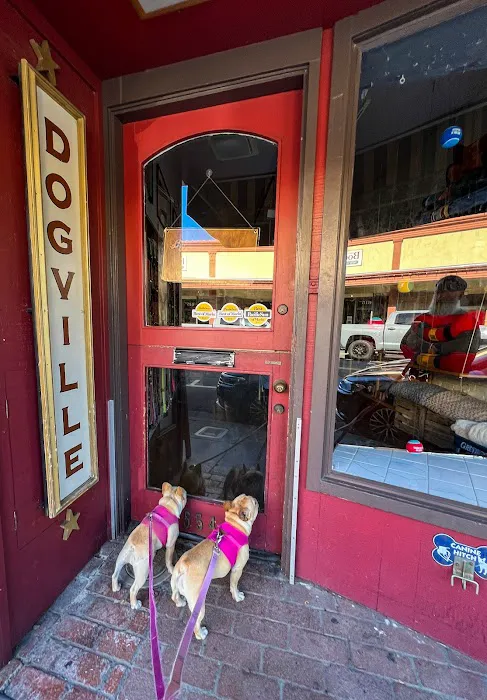 Dogville Picture 2