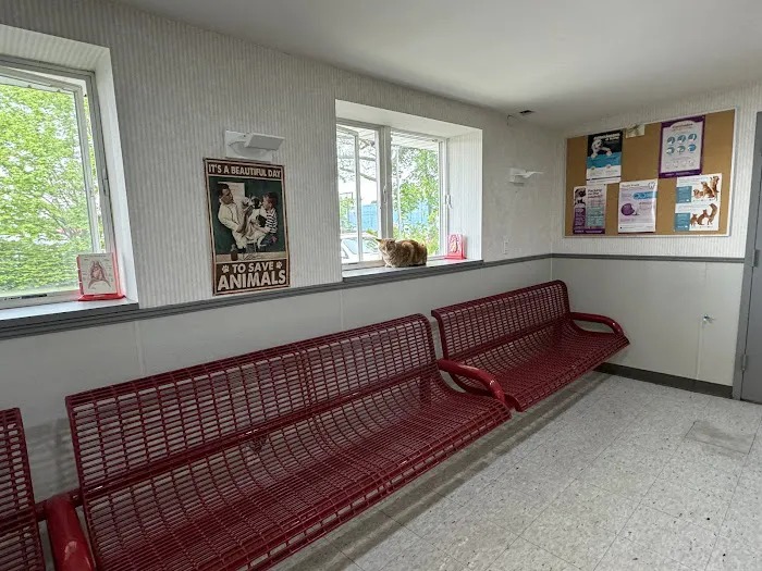Animal Care Center of Huntington Picture 1