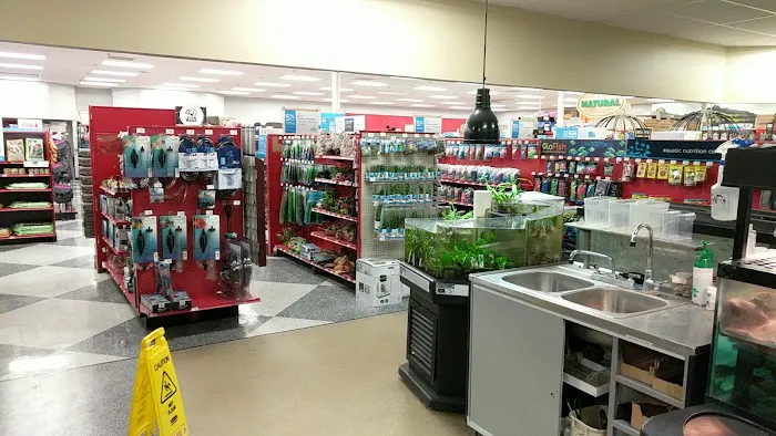 Petco Picture 4
