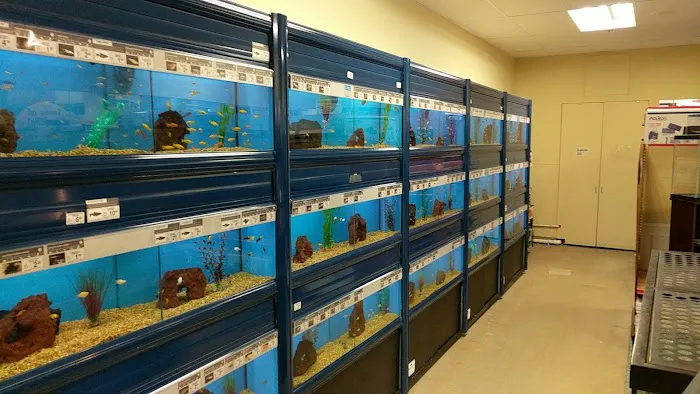 Petco Picture 7