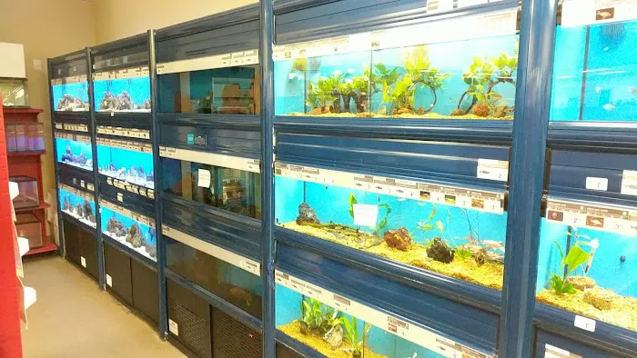 Petco Picture 2