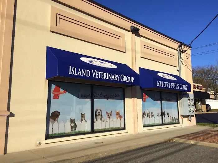 Island Veterinary Group Picture 8