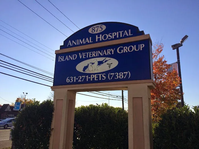 Island Veterinary Group Picture 3