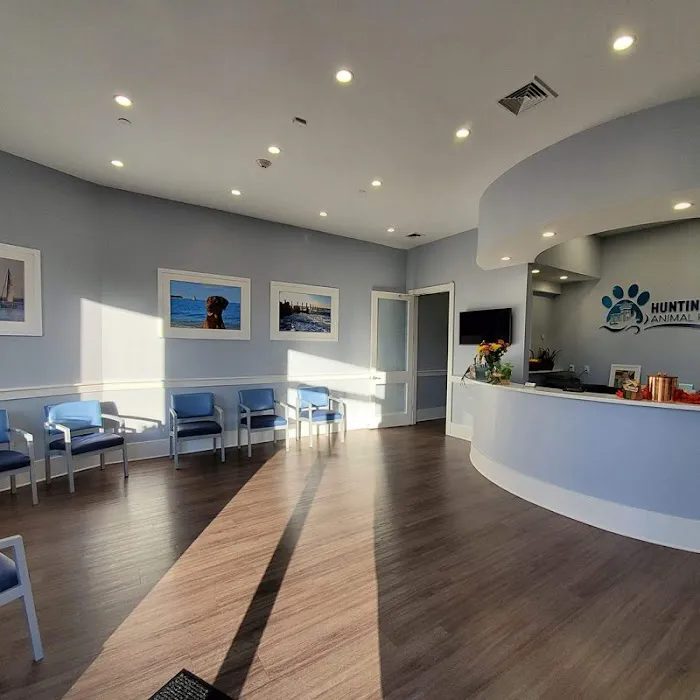 Huntington Village Animal Hospital Picture 8