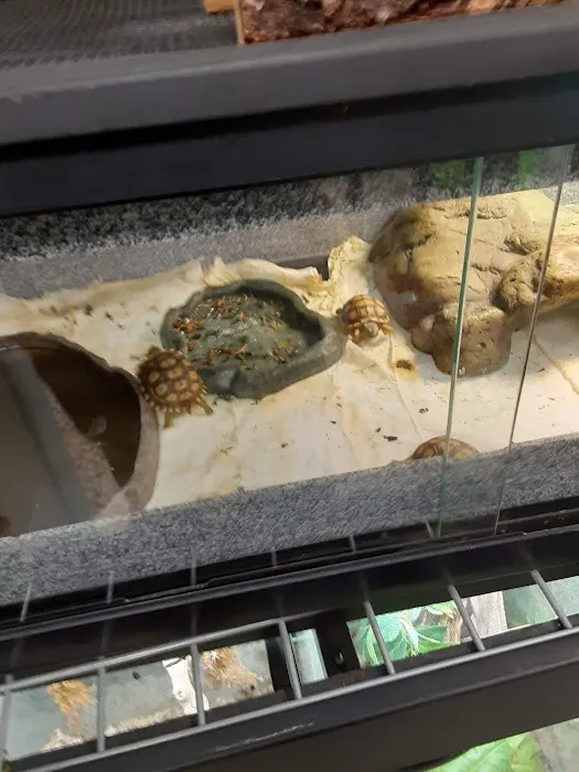 Reptilemania Picture 3