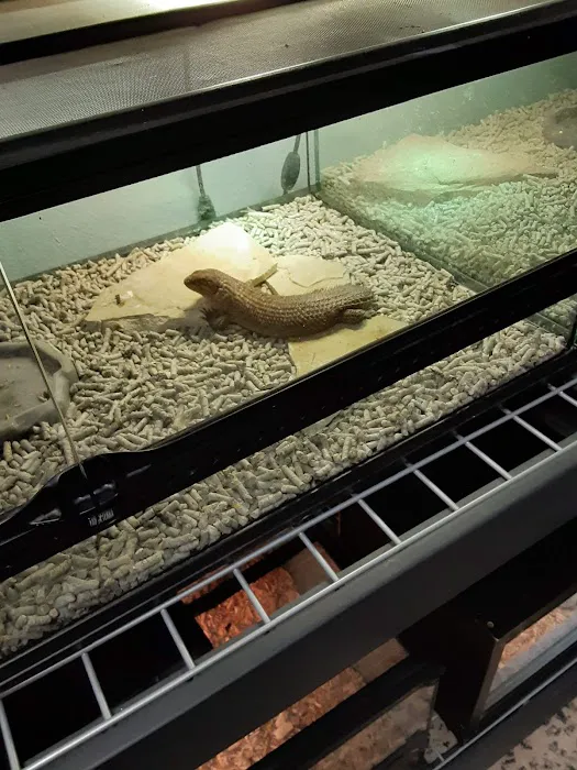 Reptilemania Picture 4