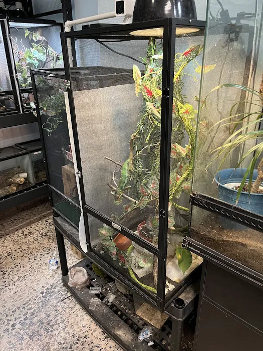Reptilemania Picture 7
