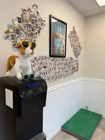 West Hills North Veterinary Clinic Picture 5
