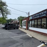 West Hills North Veterinary Clinic ico