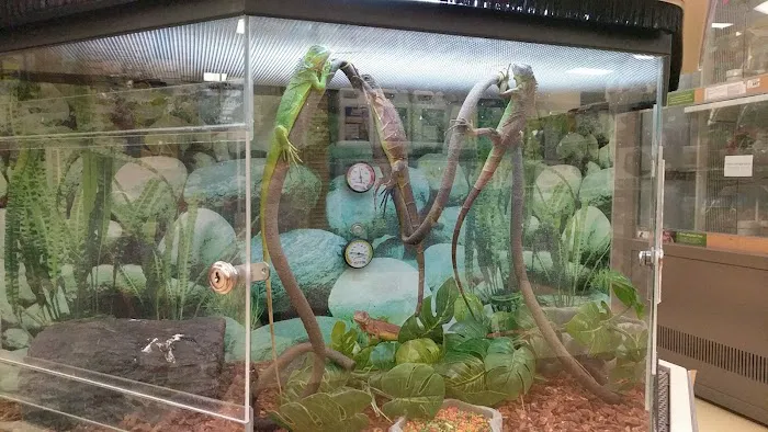 Petco Picture 7