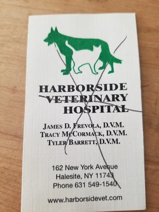 Harborside Veterinary Hospital Picture 6