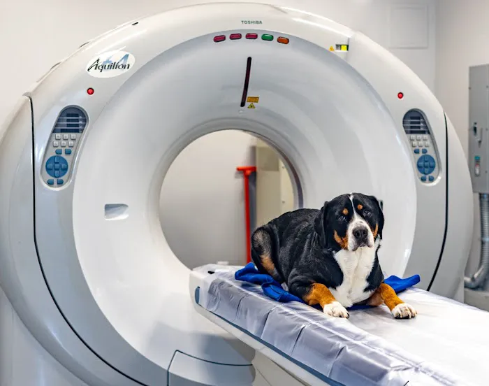 Veterinary Surgical Center of Long Island Picture 7