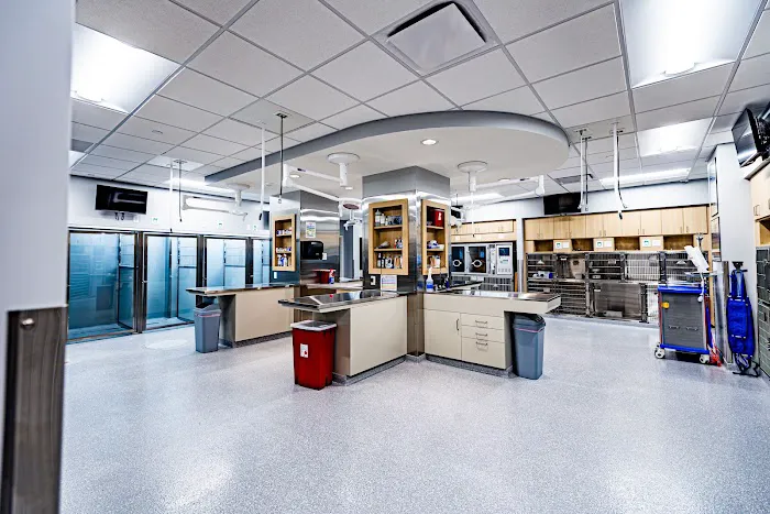 Veterinary Surgical Center of Long Island Picture 9