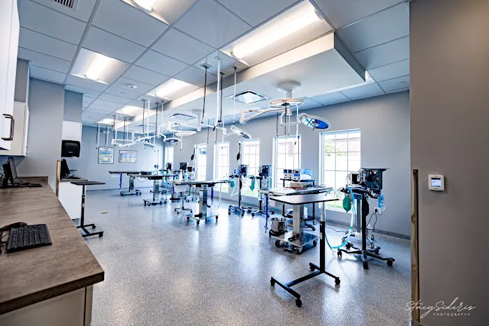 Veterinary Surgical Center of Long Island Picture 10