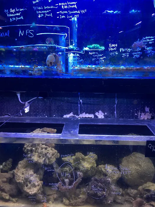 Ultimate Aquarium Inc Picture 1