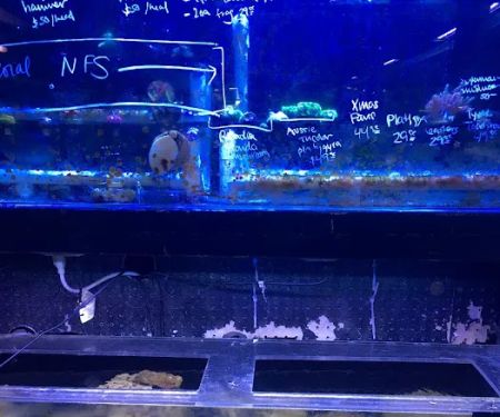 Ultimate Aquarium Inc
