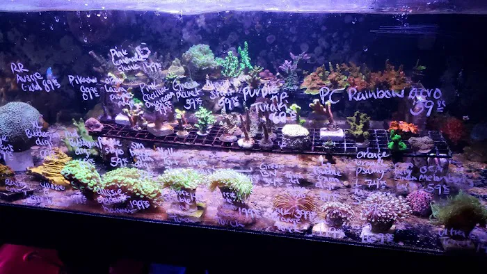 Ultimate Aquarium Inc Picture 4