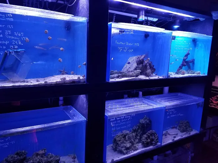 Ultimate Aquarium Inc Picture 7