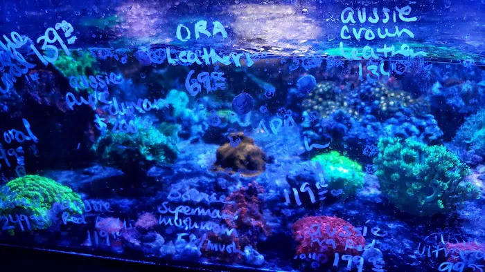 Ultimate Aquarium Inc Picture 3