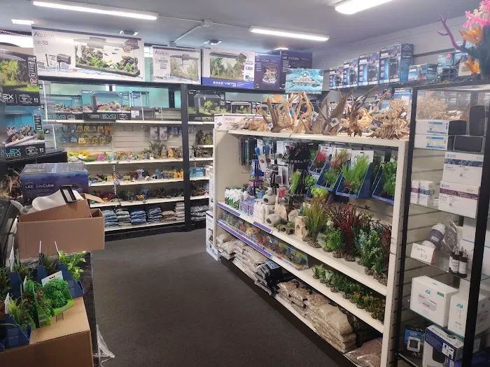 Ultimate Aquarium Inc Picture 8
