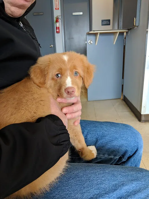 Amityville Animal Hospital Picture 1