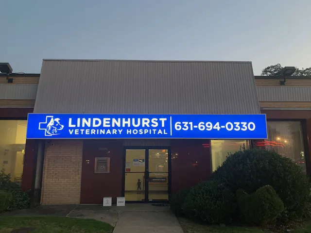 Lindenhurst Veterinary Hospital Picture 2