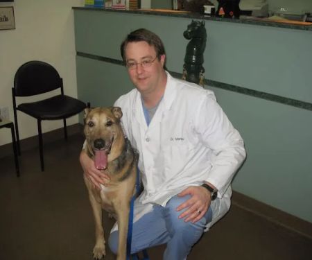 Four Paws Animal Hospital
