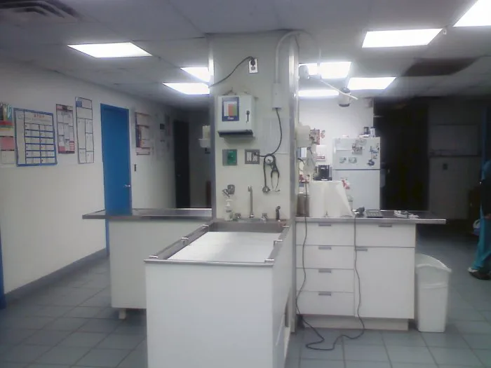 Southgate Animal Hospital Picture 7