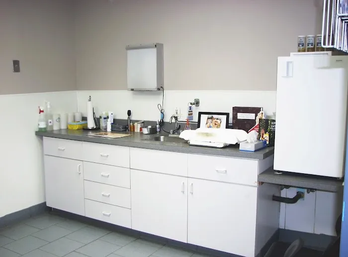 Southgate Animal Hospital Picture 5